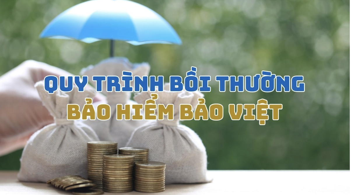 Quy Trình Bồi Thường Bảo Hiểm Bảo Việt: Hướng Dẫn Chi Tiết, Minh Bạch & Nhanh Chóng